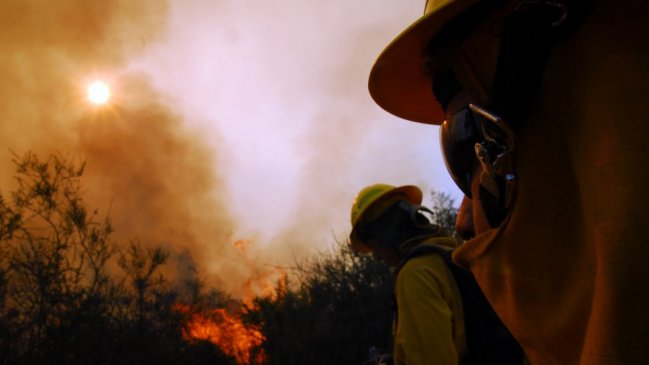 Quillón bajo alerta roja por incendio forestal que amenaza a viviendas