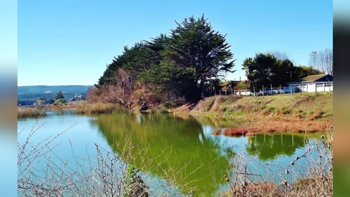 Fiscalía inicia investigación de oficio por contaminación en laguna Petrel