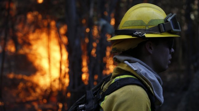 Tres comunas de La Araucanía están con alerta roja por incendios forestales