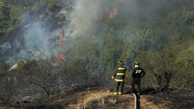Intendente del Maule descartó peligro para viviendas en incendio forestal en Constitución