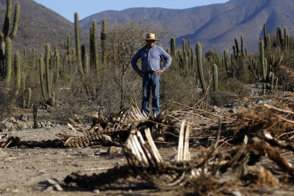 Ministro de Agricultura anunció planes para combatir efectos de la sequía en La Araucanía