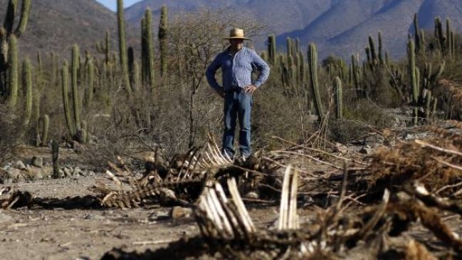Ministro de Agricultura anunció planes para combatir efectos de la sequía en La Araucanía