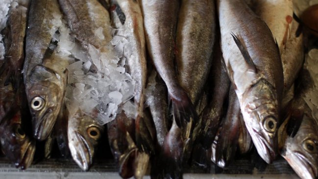 Diputados del Biobío pidieron mayor fiscalización a extracción de merluza