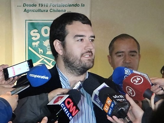 Multigremial vislumbra 