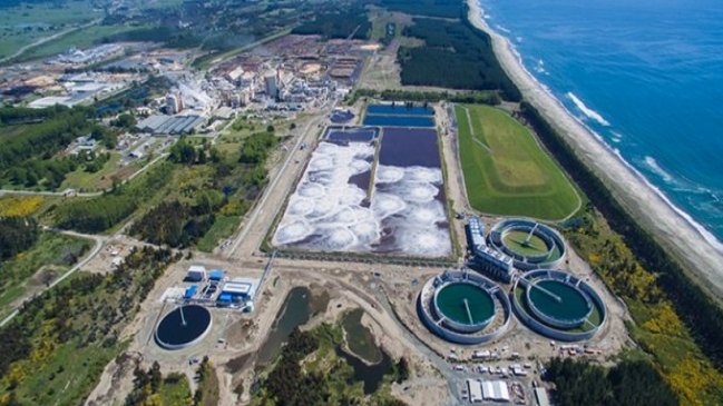 Arauco paralizó su megaproyecto MAPA tras protestas de trabajadores