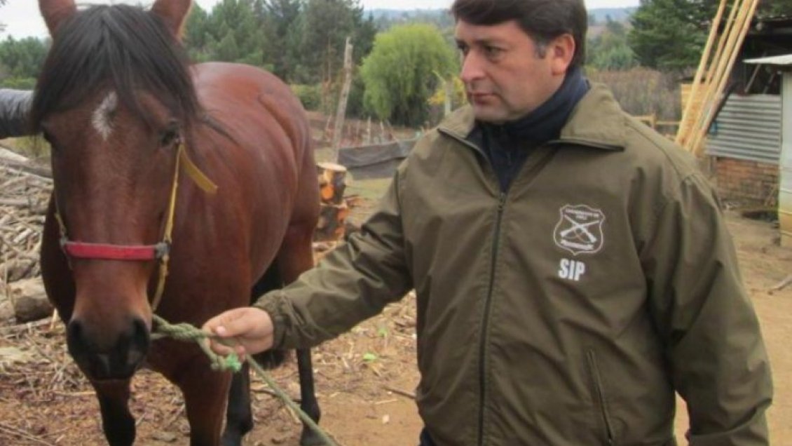 Prisión preventiva para dos sujetos sorprendidos con 10 caballos robados en San Carlos