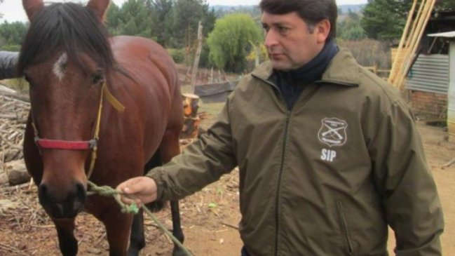 Prisión preventiva para dos sujetos sorprendidos con 10 caballos robados en San Carlos