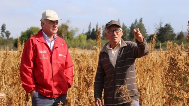 Ministerio de Agricultura posterga por tres meses el vencimiento de los créditos Indap