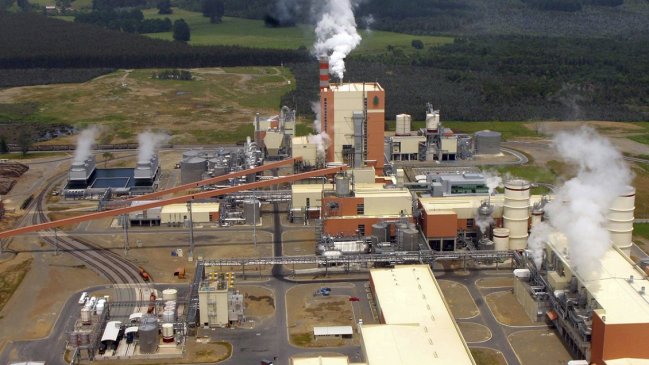 Trabajadora de casino donde comen 350 personas de empresas Arauco dio positivo a coronavirus