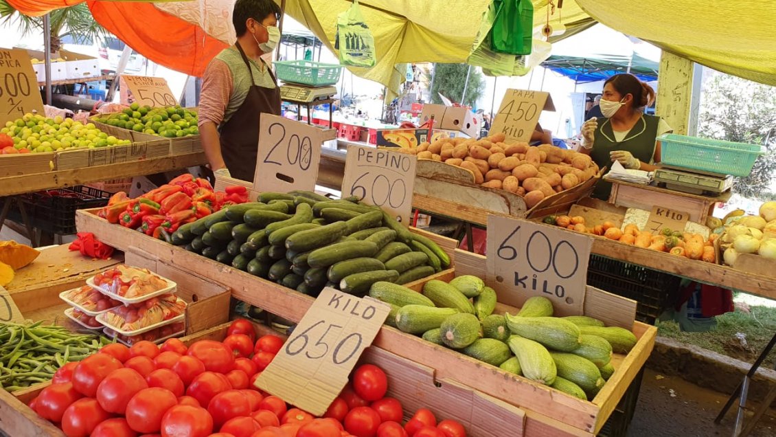 Restringen horario de ferias libres y comercio informal en Iquique y Alto Hospicio