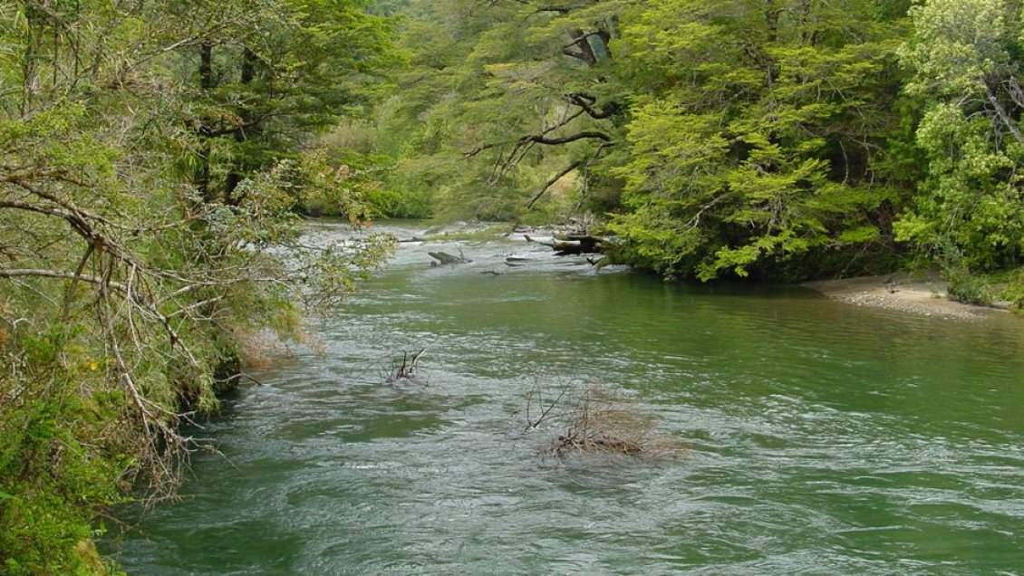 Hombre murió al cruzar un río a través de un carro de arrastre en Aysén