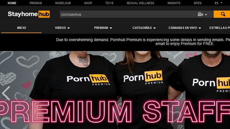 Chilenos y chilenas aumentaron sus visitas a Pornhub durante el encierro