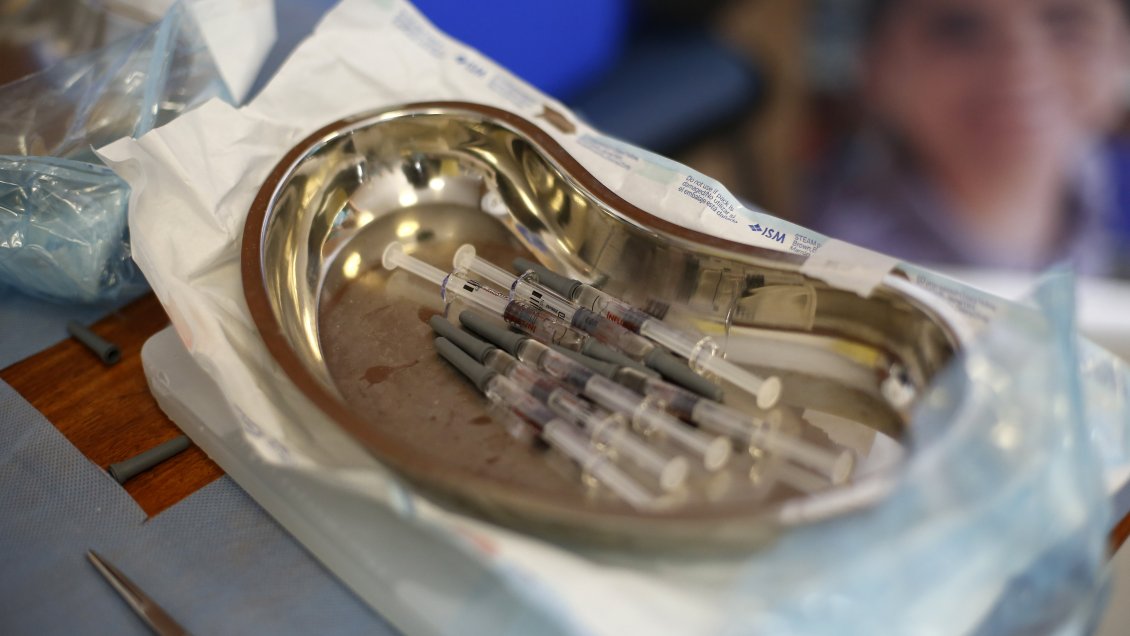 PDI investiga robo de 100 vacunas contra la influenza desde el Cesfam de Ercilla