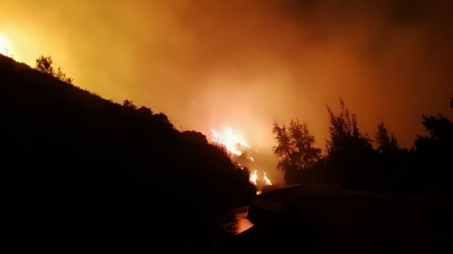 Linares: Incendio forestal afectó a un retén fronterizo y amenaza viviendas