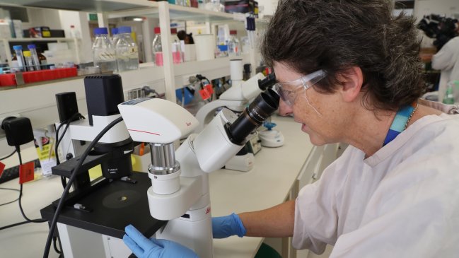 Australia comienza pruebas preclínicas de dos vacunas contra el coronavirus