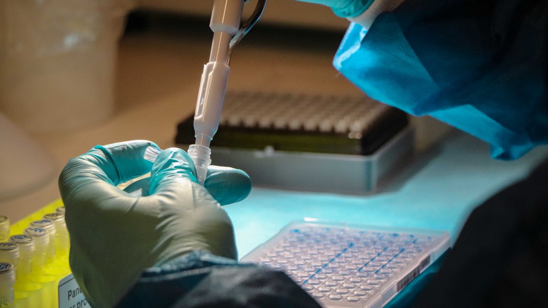 Cuatro integrantes de una familia dieron positivo al Covid-19 en San Vicente de Tagua Tagua