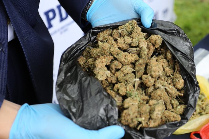 Talca: Dos detenidos por vender droga en plena vía pública