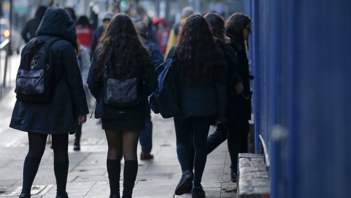 Organismos de educación sugieren hacer 