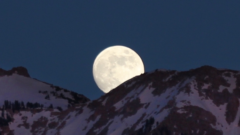 ¿Cómo y a qué hora apreciar la Súper Luna rosa en Chile?