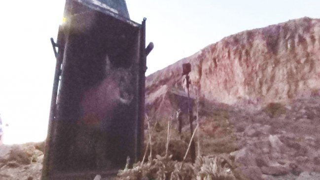 El primer puma rescatado en Colina volvió a la precordillera