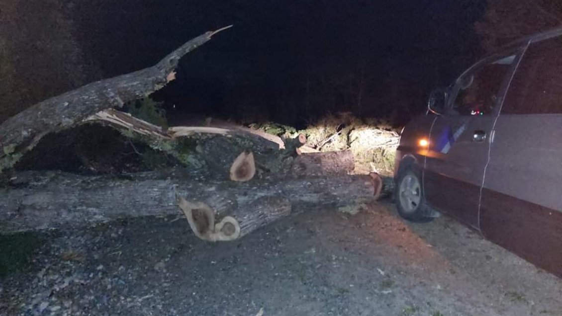 Vecinos levantan barrera sanitaria ciudadana en Caleta Tortel: 