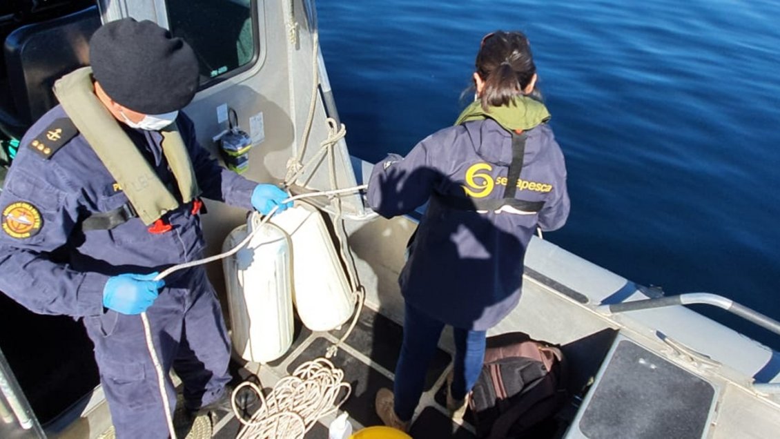 Sernapesca verifica manejo de mortalidad en Centro de Cultivo en Chiloé