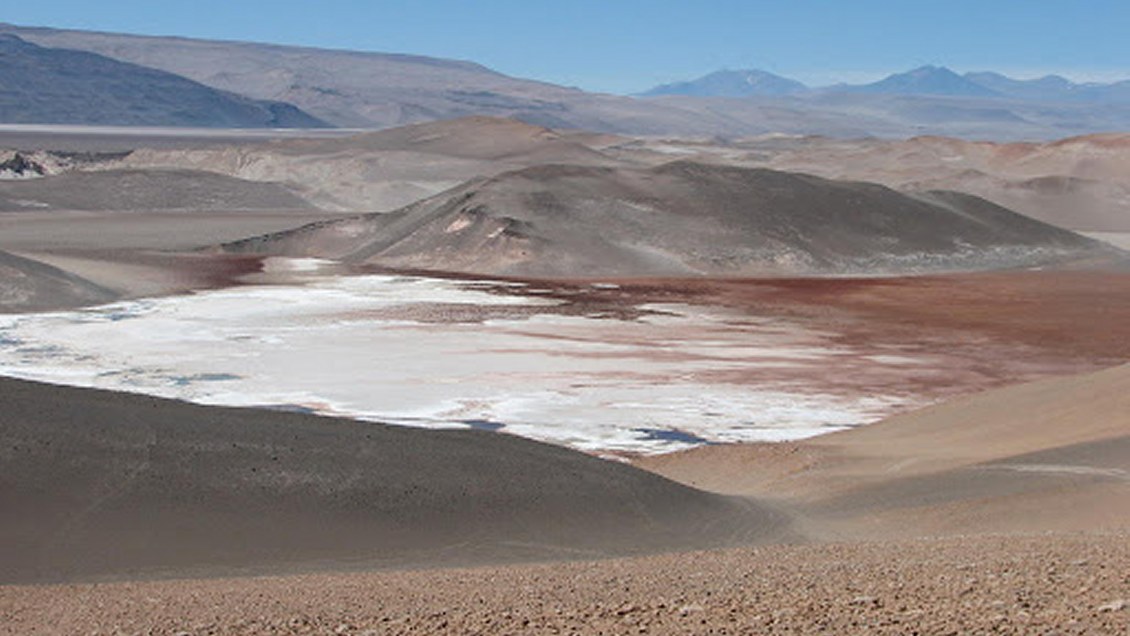 Tribunal Ambiental acogió demanda del CDE contra Escondida por daño ambiental del Salar de Punta Negra