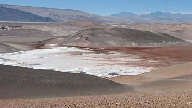 Tribunal Ambiental acogió demanda del CDE contra Escondida por daño ambiental del Salar de Punta Negra
