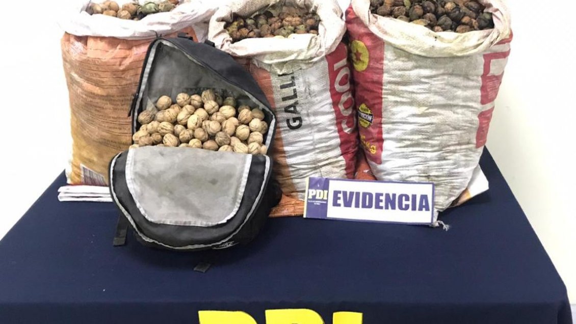 PDI detiene a tres sujetos acusados de robar nueces en San Fernando