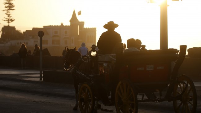 Reginato pidió paralizar funcionamiento de coches victorias en Viña del Mar por Covid-19