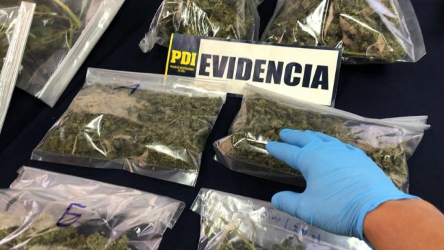 PDI detiene a sujeto por microtráfico y decomisa tres kilos de cannabis sativa en Quillón