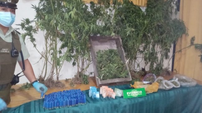 Detienen a adulto mayor y dos jóvenes acusados de microtráfico de drogas en Chimbarongo