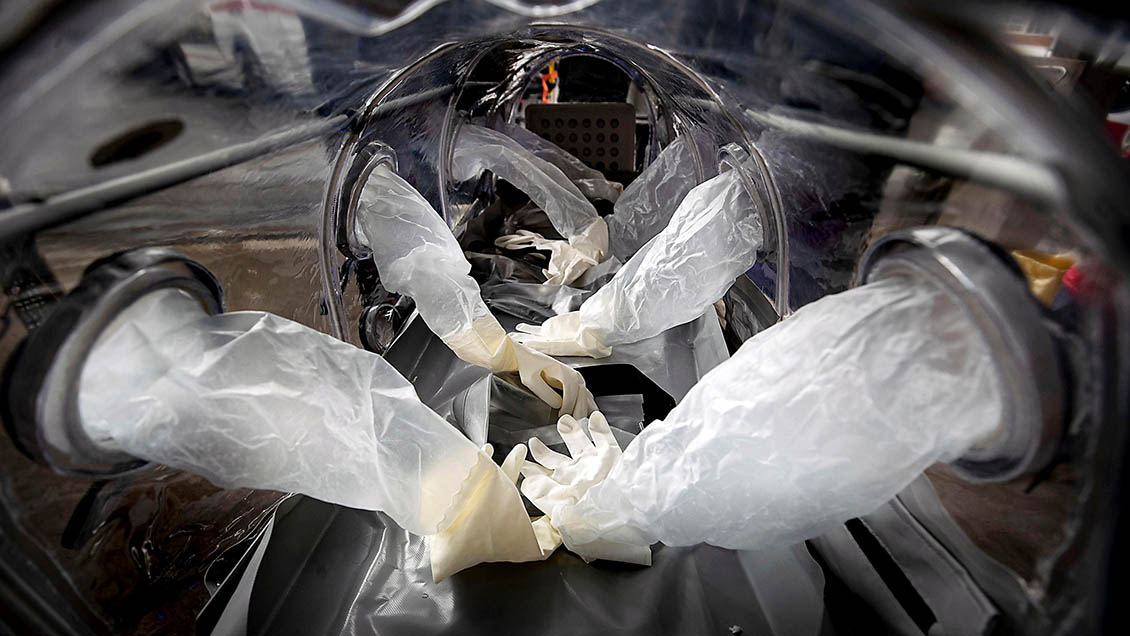 Aprueban en Alemania primer estudio en voluntarios de vacuna contra Covid-19