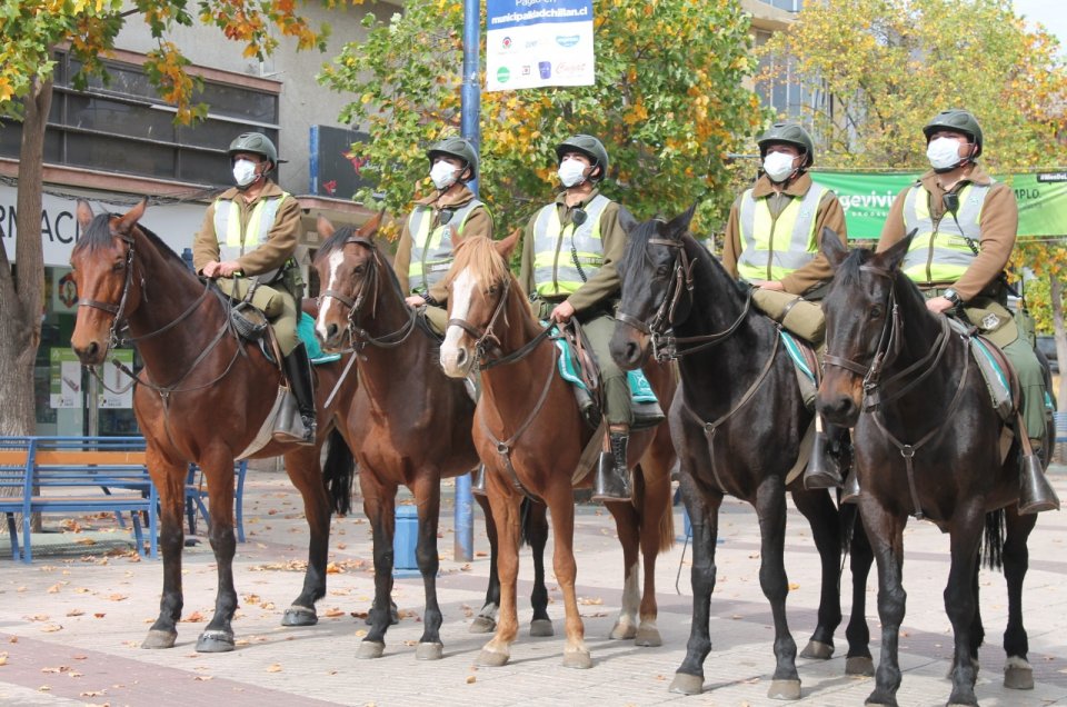 Carabineros implementó patrulla montada para reforzar seguridad en el centro de Chillán