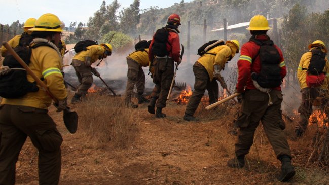 O'Higgins registra disminución en superficie afectada por incendios forestales en la actual temporada