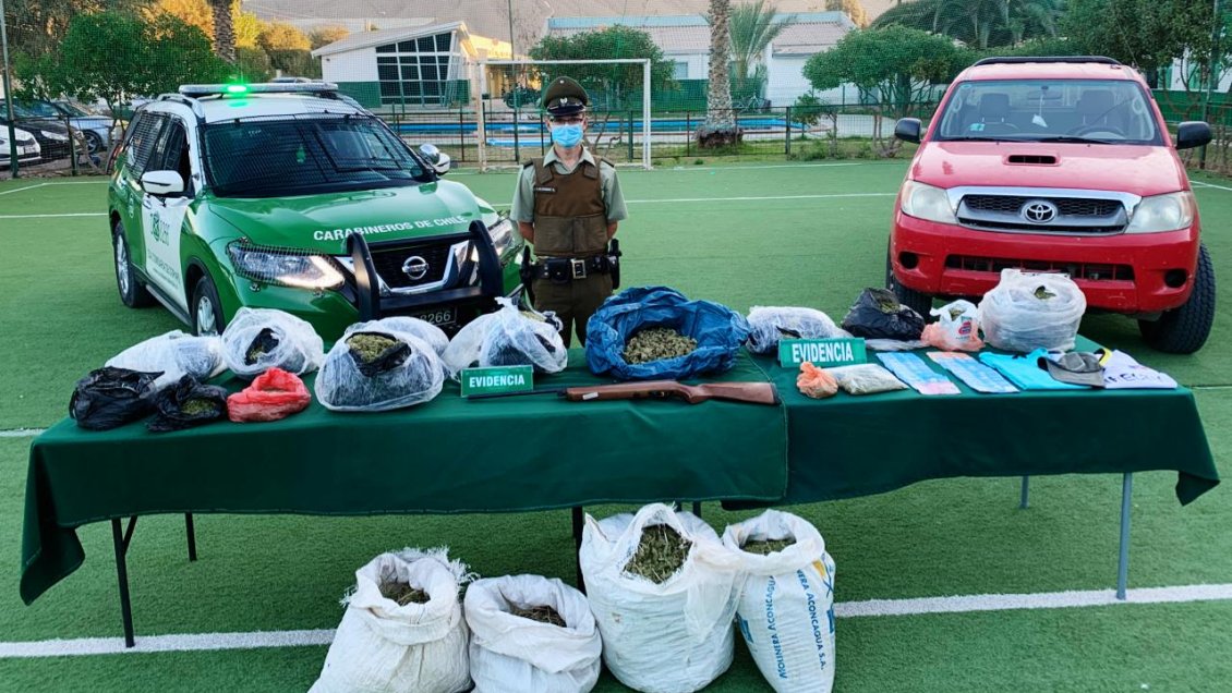 Banda cultivaba marihuana a más de dos mil metros de altura en la Región de Atacama