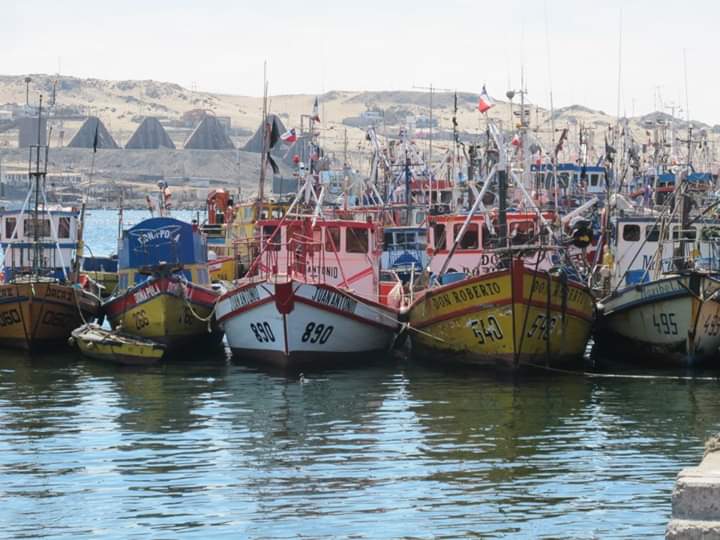 Pescadores artesanales de Atacama recibirán fondos para complejizar su actividad