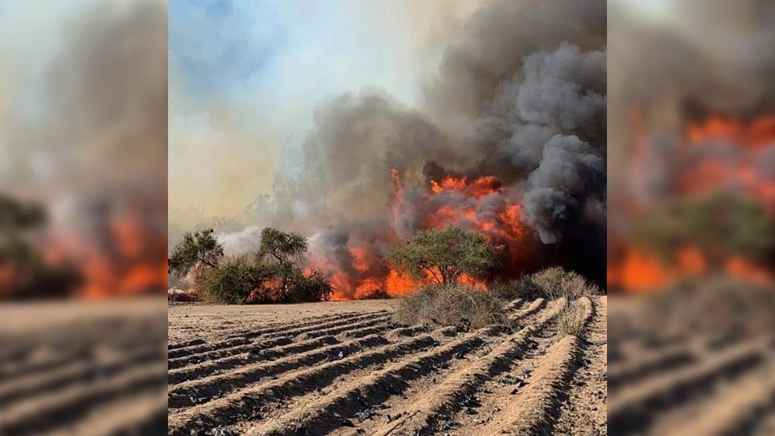 Alerta roja por incendio forestal que amenaza a viviendas ...