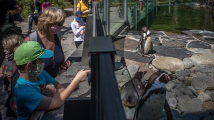  Zoo de Praga reabrió con nuevas especies nacidas en la cuarentena  