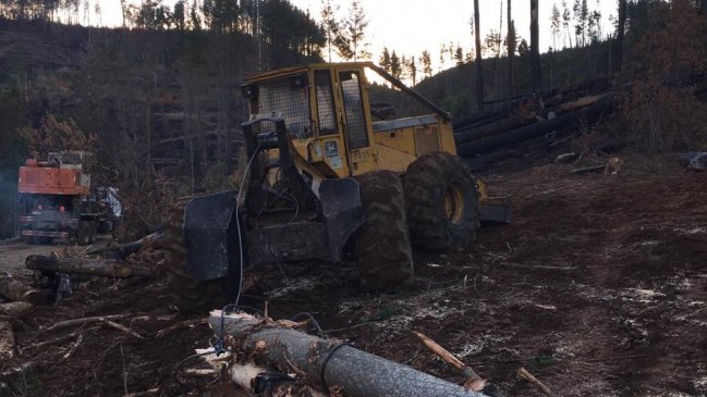 Operativo policial por robo de madera en Victoria terminó con 12 detenidos