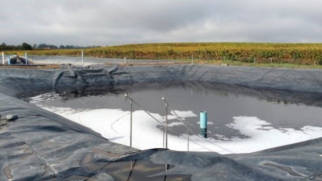 Coliformes fecales y acumulación de lodos: SMA formuló cargos contra Viña San Pedro de Molina