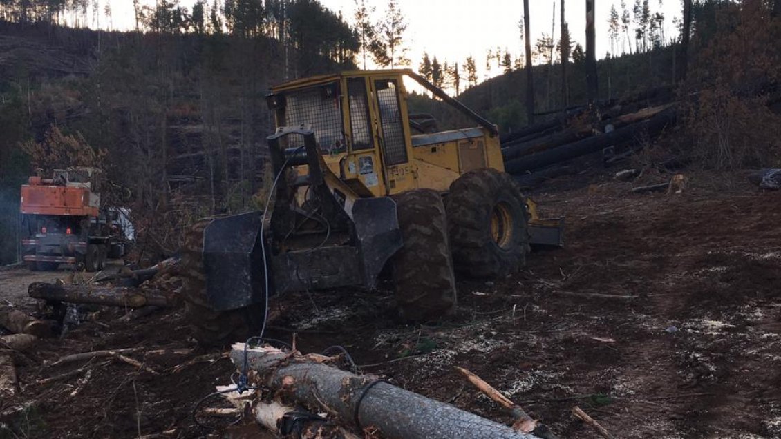 Operativo policial por robo de madera en Victoria terminó con 12 detenidos