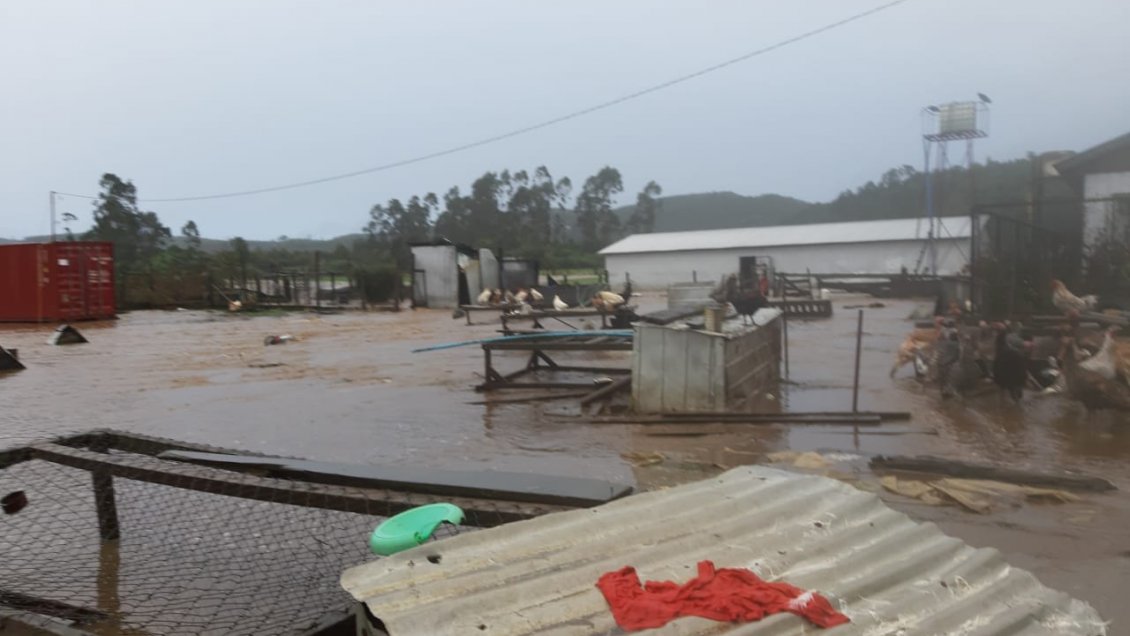 Sistema frontal dejó calles inundadas y ríos desbordados en varias comunas de de Los Lagos