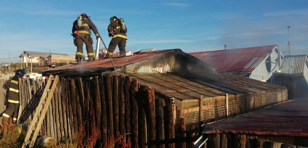 Dos damnificados y una mascota muerta dejó incendio en casa de Punta Arenas