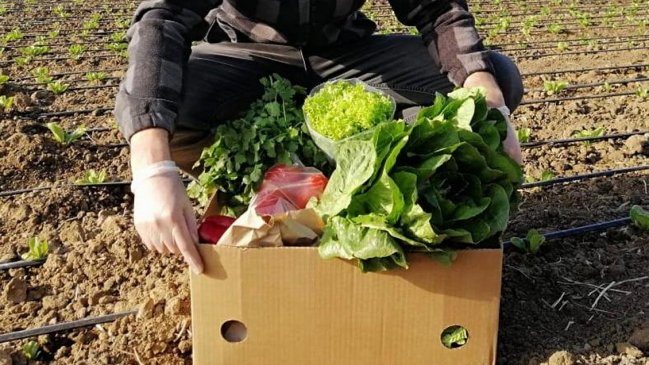 Mercados Campesinos Online: La guía para comprar a familias de productores agrícolas