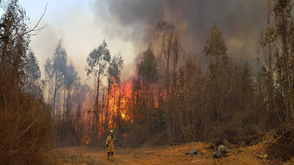 Más de 80 hectáreas consume incendio forestal en la zona alta de Valparaíso