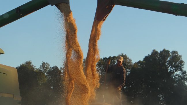 Pequeños campesinos molestos por nuevo avalúo aplicado al sector por el SII