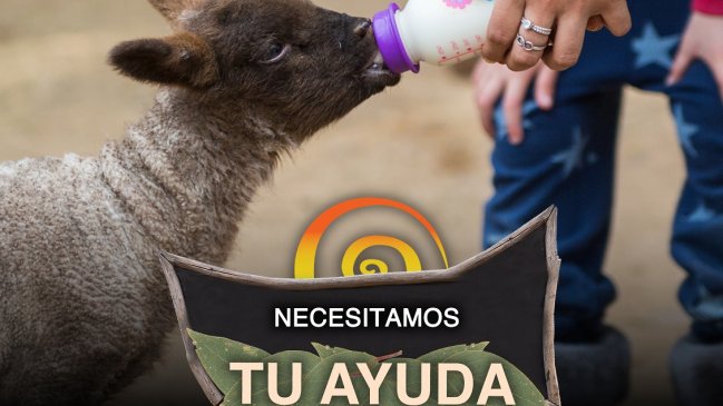 Entradas anticipadas y pases anuales: Granjaventura pide ayuda para no desaparecer