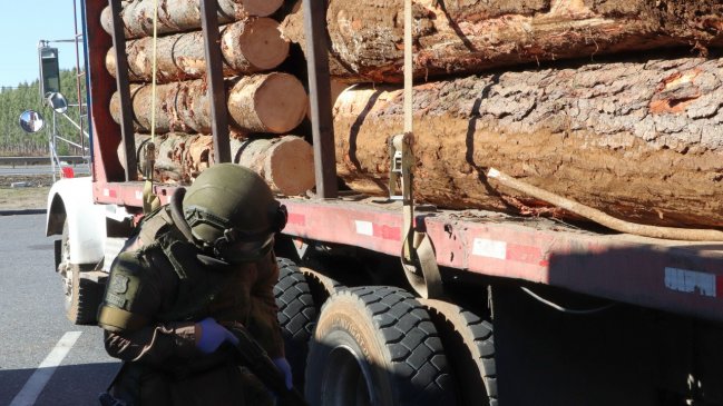 Cuatro sujetos fueron detenidos como sospechosos de robo de madera en Collipulli