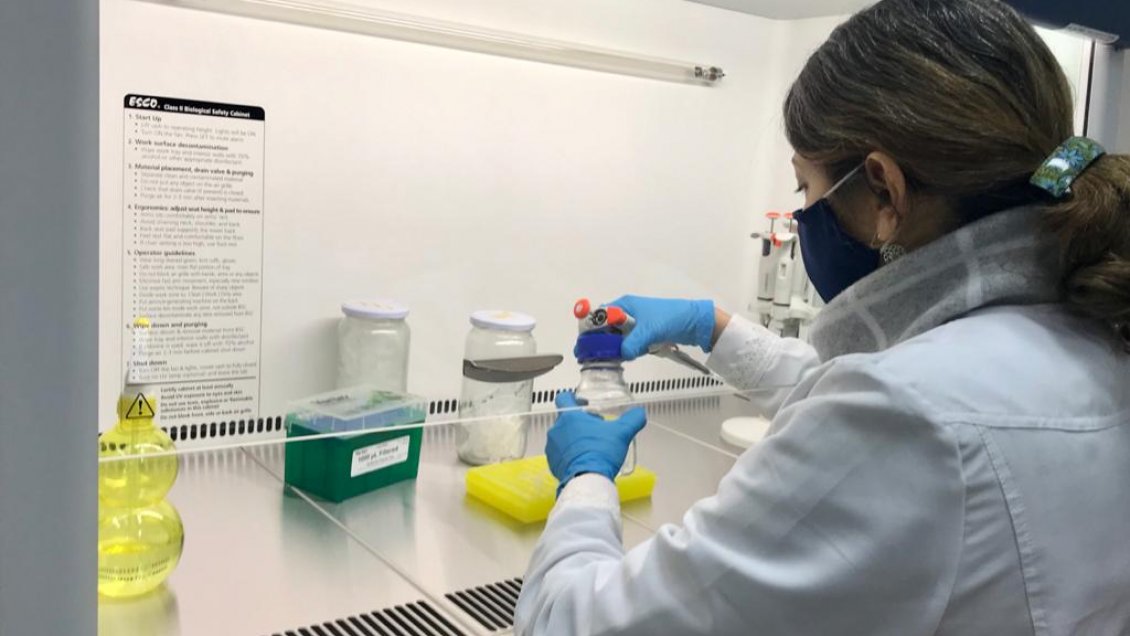 Universidad de Aysén recomienda aumentar número de exámenes para evitar brotes